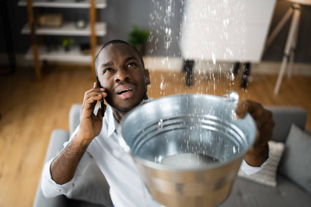 Best Sewage cleanup and water damage restoration  in Mentor, OH