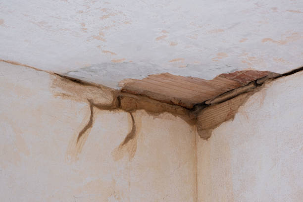 Local water damage restoration in Mentor, OH