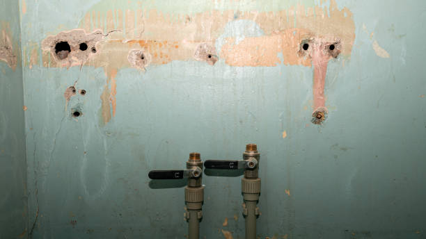 Best Emergency water extraction  in Mentor, OH