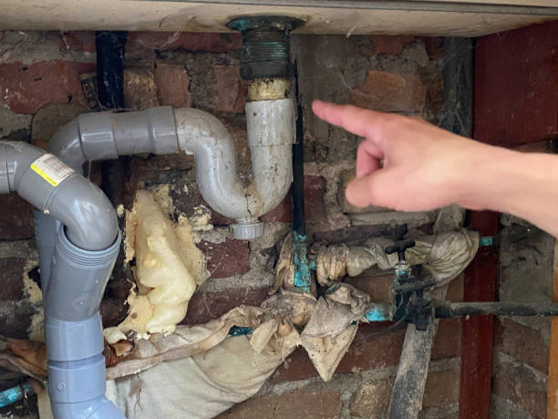 Best Flooded house restoration  in Mentor, OH