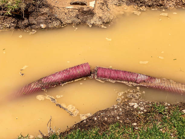 Best Water damage repair service  in Mentor, OH