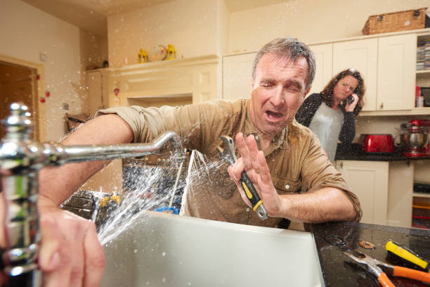 Best Water damage contractors near me  in Mentor, OH